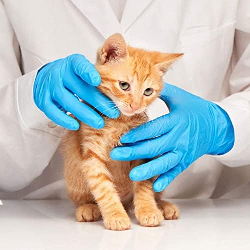 Basic Medical Blue Nitrile Exam Gloves - Latex-Free & Powder-Free - NGPF 7002 (Case of 1,000), Medium
