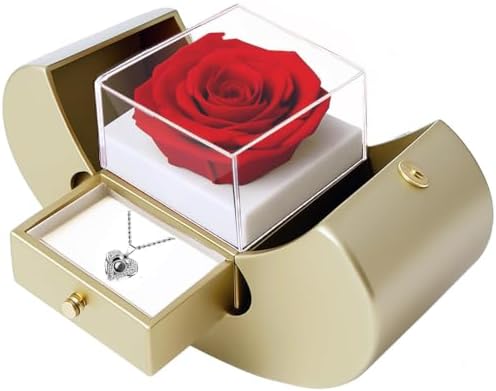 moshen Preserved Rose Set with I Love You Necklace 100 Languages, Gifts for Wife Girlfriend Mom Women Her (beige)