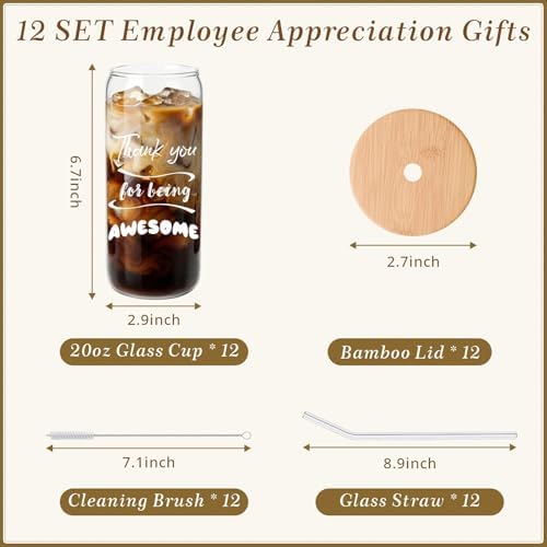12 Set Employee Appreciation Gifts, Inspirational Thank You Gifts for Staff