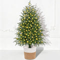 3FT Small Christmas Tree with Lights, Pre-Lit Norfolk Pine Tree Potted