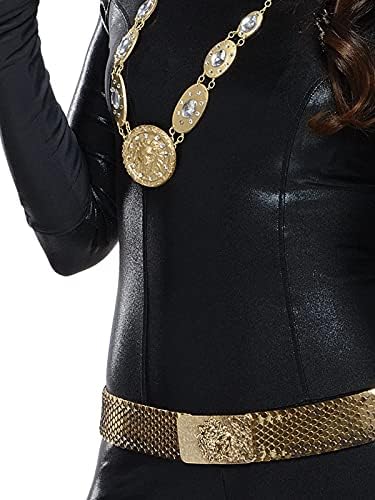 Rubies Women's DC Batman Classic 1966L Catwoman Costume