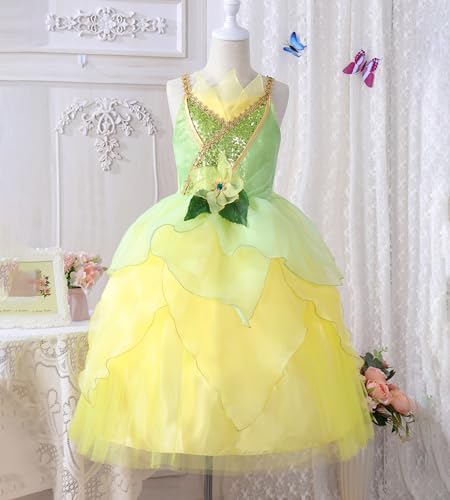 Girls Cinderella Costumes Halloween Princess Dress Up Fancy Birthday Party Ball Gown