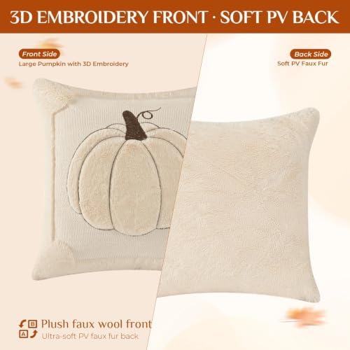 Fall Throw Pillow Covers 18x18 Set of 2 Double-Sided Beige Pumpkin Plush