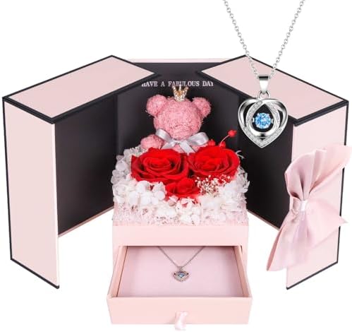 ADDWel Preserved Rose Gift Box with 925 Sterling Silver Necklace for Her