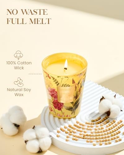 M&SENSE Orange Goji Soy Candle, 14.1oz, Summer Man Cave Housewarming Gift