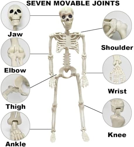 36" Skeleton Halloween Decorations, 3FT Life Size Skeleton Posable Joints