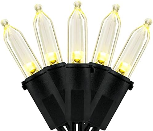 YULETIME 200 Warm White LED Christmas Lights, 66 ft Black Wire String Light