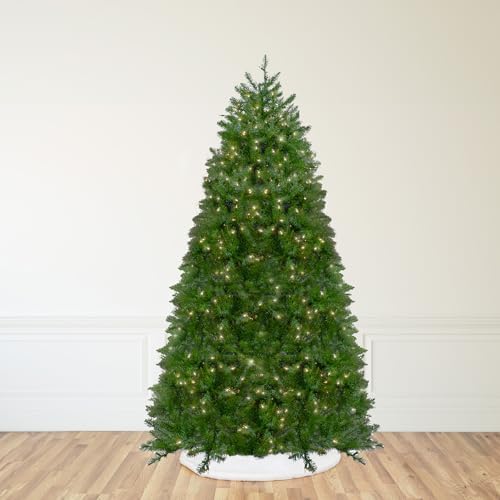 Northlight Pre-Lit Northern Full Artificial Christmas Tree with Clear Lights, 14'