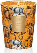 M&SENSE Pumpkin Spice Soy Candle, 14.1oz, Thanksgiving Halloween Candles