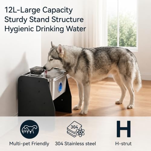 PETTEN Elevated Stainless Steel Dog Water Fountain Indoor 12L/3Gal