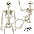 36" Skeleton Halloween Decorations, 3ft Life Size Human Skeleton with Full Body Movable Posable Joints Skeleton, Halloween Skeletons with 20 Spiders for Yard Haunted House Props Indoor Outdoor Decor