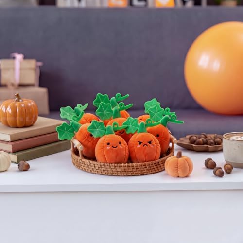 Meooeck 12 Pcs Fall Pumpkin Fidgets Balls Keychains Fall Party Favors