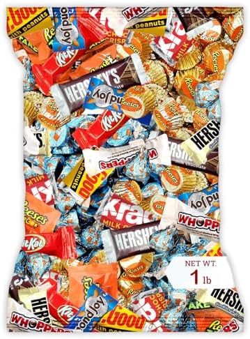 Bulk Chocolate Assortment Variety Pack - Chocolate Candy Variety Pack -1 lb Bag of Milk, Dark, Bars and more! Bulk Candy Mix for Treat Bags (1 LBS)