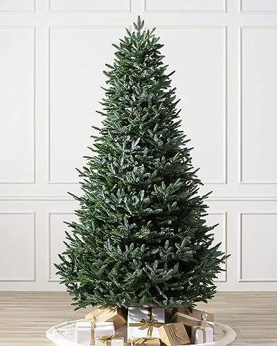 Balsam Hill European Silver Fir - Elegant Artificial Christmas Tree with True Needle Foliage Available Unlit or with LED Clear Lights, Unlit, 5'