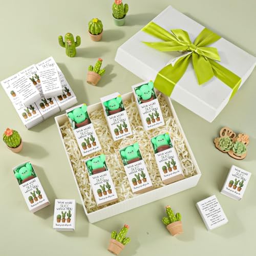 48 Sets Employee Appreciation Gifts with Boxes