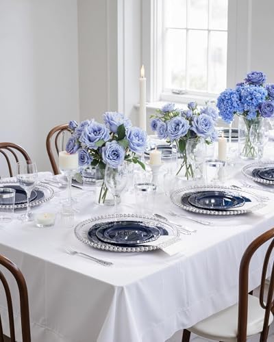 Hioasis 350 Pcs Blue Silver Plates for Graduation