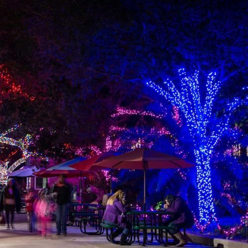TW SHINE Christmas Lights, 200 LED 66FT Outdoor Christmas Lights Plug in with 8 Modes, Waterproof Light Outdoor, Indoor Xmas Decorations for Party Yard House Decor, Blue