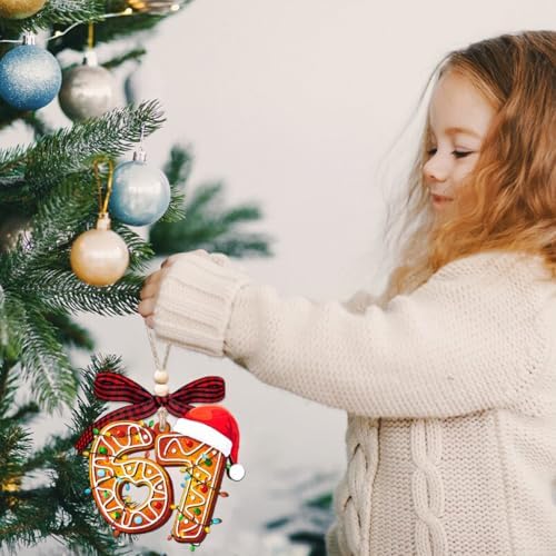 67 Ornament, 6 7 Christmas Ornaments 2026, Funny Ornament for Kids, 67 Gift