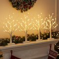 EAMBRITE Lighted Birch Tree with LED Lights Christmas Decorations Indoor