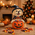 Halloween Golden Retriever Candy Bowl, Pumpkin Candy Holder
