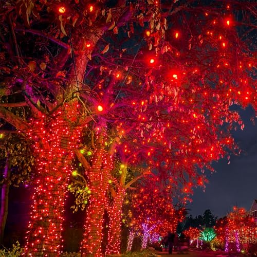WATERGLIDE 1000 LED Valentines String Lights, 328 FT Green Wire LED Decorative Fairy Lights with Remote & 8 Modes, Waterproof for Outdoor Christmas Holiday Party Garden Wedding Home Decor, Red