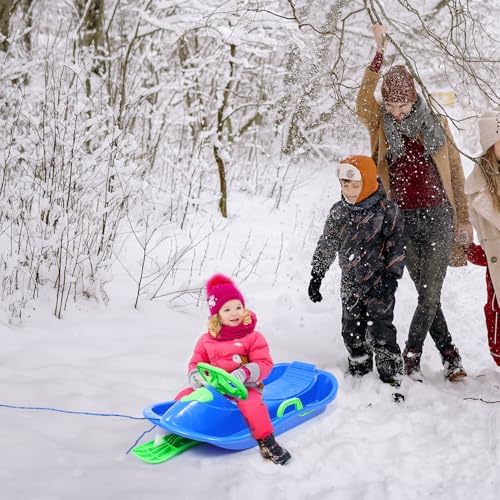 Winter Season Ski Sled with Steering Wheel and Brakes for Boy Girl