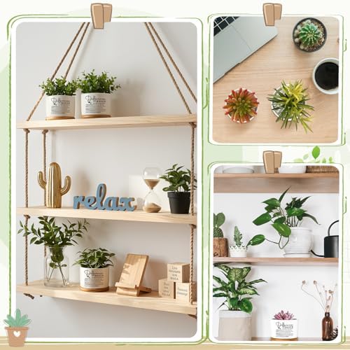 12 Pcs Difference Maker Gifts Succulent Pots Bulk for Employee