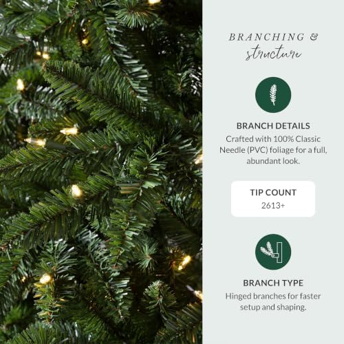 Balsam Hill Classic Evergreen Spruce - Traditional Artificial Christmas Tree with Classic Needle Foliage with LED Clear Lights & Easy Plug Technology, 9'
