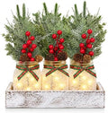Mason Jar Christmas Centerpieces for Tables, Winter Xmas Table Decorations