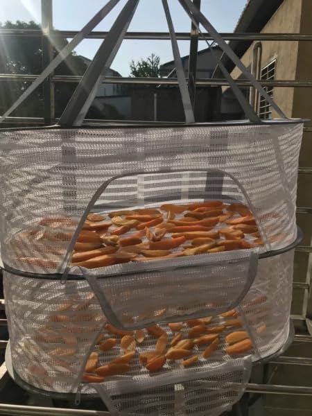 Foldable Drying Net for Vegetables, Fish, and Dehydrated Goods, Multi-tiered Food Drying Net, Versatile Drying Rack, Windproof Design, Zipper Closure for Insect Protection (White, Dual Layer)