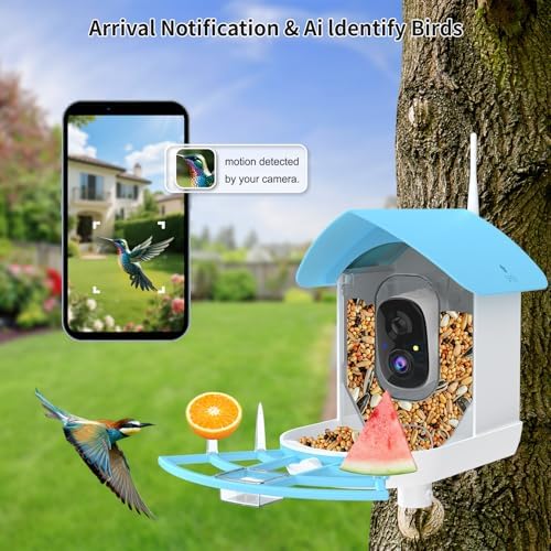 Fazoxo Bird Feeder with Camera,Birds House Camera,Solar Powered,SkyBlue