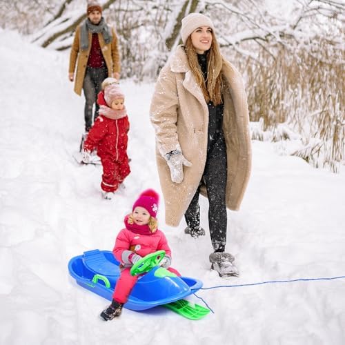Winter Season Ski Sled with Steering Wheel and Brakes for Boy Girl