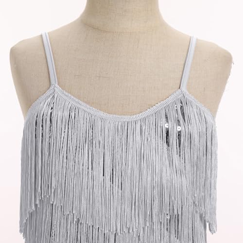 IDOPIP Kids Girls 1920s Flapper Dress Tassels Sequins Fringe Latin Dance Dress Gatsby Halloween Party Ballroom Dance Costumes