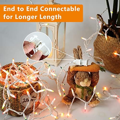 Brizled Easter Lights, Incandescent Pastel String Light, 150 Count, 34.8ft