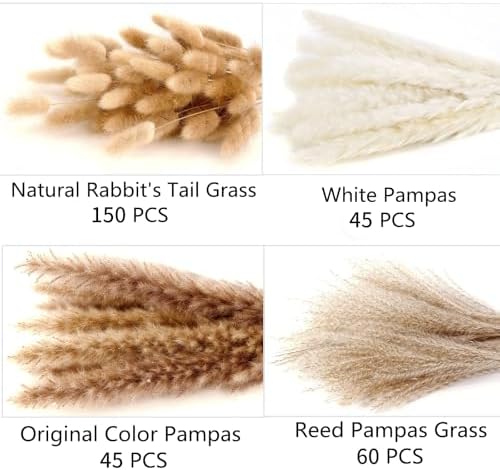 300 PCS Dried Flower Bouquet – Pampas Grass, Floral Decor for Home, Wedding, and Boho Style | Perfect for Vases, Fall, Spring, Summer, and Winter Arrangements (Pack of 2)