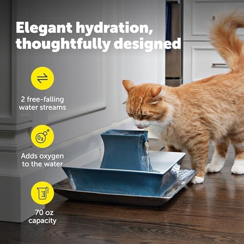 PetSafe Drinkwell Pagoda Ceramic Cat Water Fountain, 70 oz, Extra Filters
