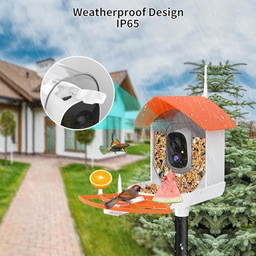 Fazoxo Bird Feeder with Camera,Birds House Camera,Solar Powered,Orange