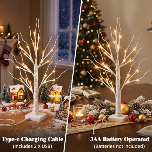 PEIDUO Christmas Decorations, 2FT Birch Tree with LED Lights, Warm White Light up Tree Lamp, Artificial Trees for Home Table Inside, Battery Powered, Timer (2PK)