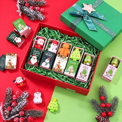 20 Sets Christmas Relief Gifts Bulk Favors Prizes for Adults Coworkers