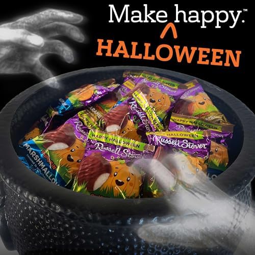 RUSSELL STOVER Halloween Milk Chocolate Chocolate Truffle Pumpkin, 1.3 oz. (Pack of 18) - Bulk Halloween Candy