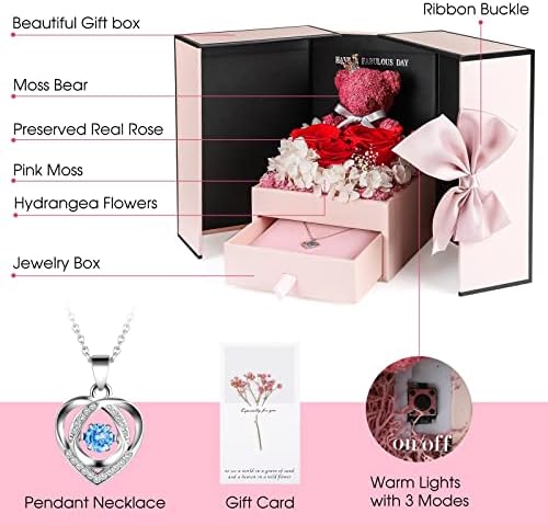 ADDWel Preserved Rose Gift Box with 925 Sterling Silver Necklace for Her