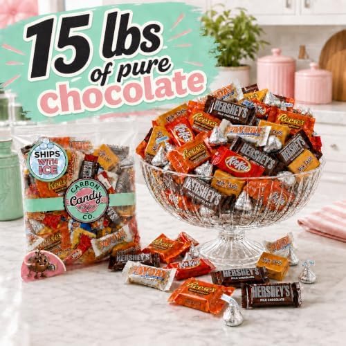 Halloween Chocolate Candy Variety Pack Assorted Pinata Mini Bars Bulk 15 lb