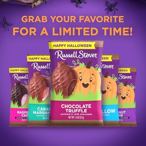 RUSSELL STOVER Halloween Milk Chocolate Chocolate Truffle Pumpkin, 1.3 oz. (Pack of 18) - Bulk Halloween Candy
