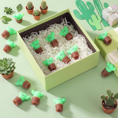 Thenshop 20 Pcs Cactus Positive Gift for Coworkers Employee