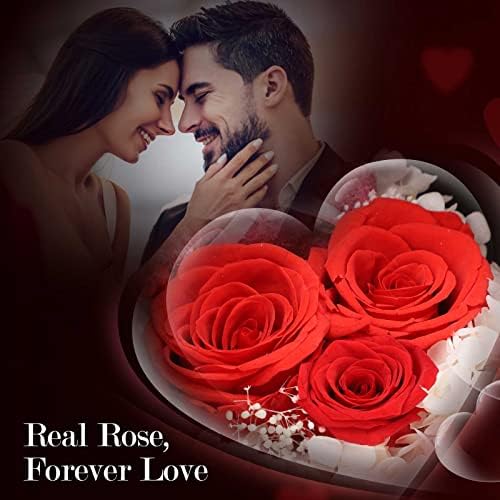 ADDWel Preserved Real Rose Gift Box with I Love You in 100 Languages
