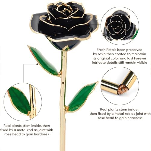 Anthonic Gold Dipped Infinity Rose Last Forever Flower Decor, Birthday Gift for Women in Her Birthday Valentines Day Mothers Day, Resin Preserved Rose | Anniversary Present for Mom (Black)