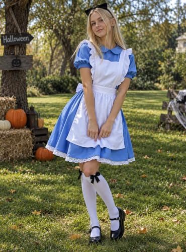 Blue Princess Storybook Character Cosplay, Adult Womens Halloween Costumes