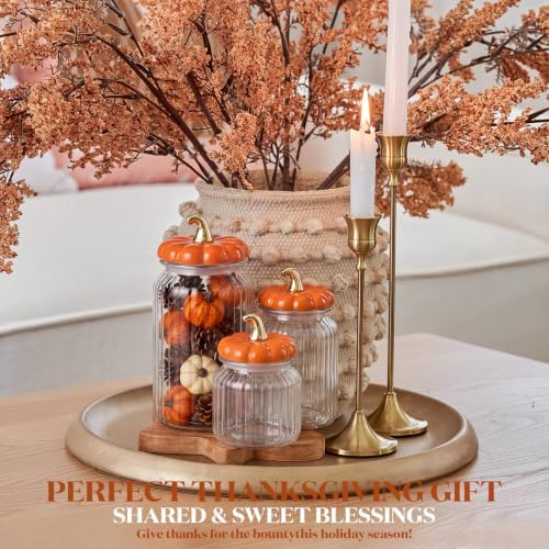 Mimorou 3 Set Fall Pumpkin Glass Jar with Pumpkin Airtight Ceramic Lid 44 oz 33 oz 22oz Clear Candy Jar Food Storage Canister for Thanksgiving Party Tea Cookie Table Decoration(Orange, Glass Jar)
