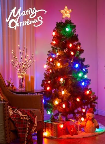 Vintage C9 Christmas Lights Outdoor, 100Ft 50 LED Multicolor String Lights