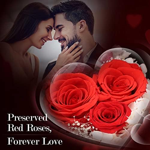 ADDWel Preserved Rose Gift Box with 925 Sterling Silver Necklace for Her
